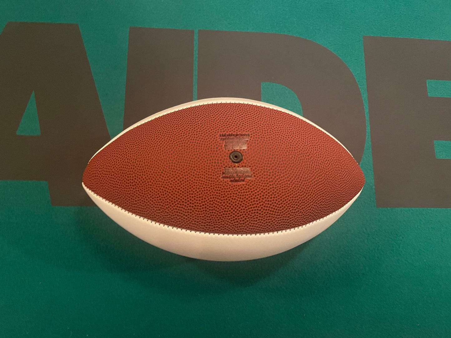 Shane Lechler Autographed & Authenticated Raiders Championship Panel Football